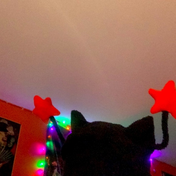 cat hat - Picture 3 of 3